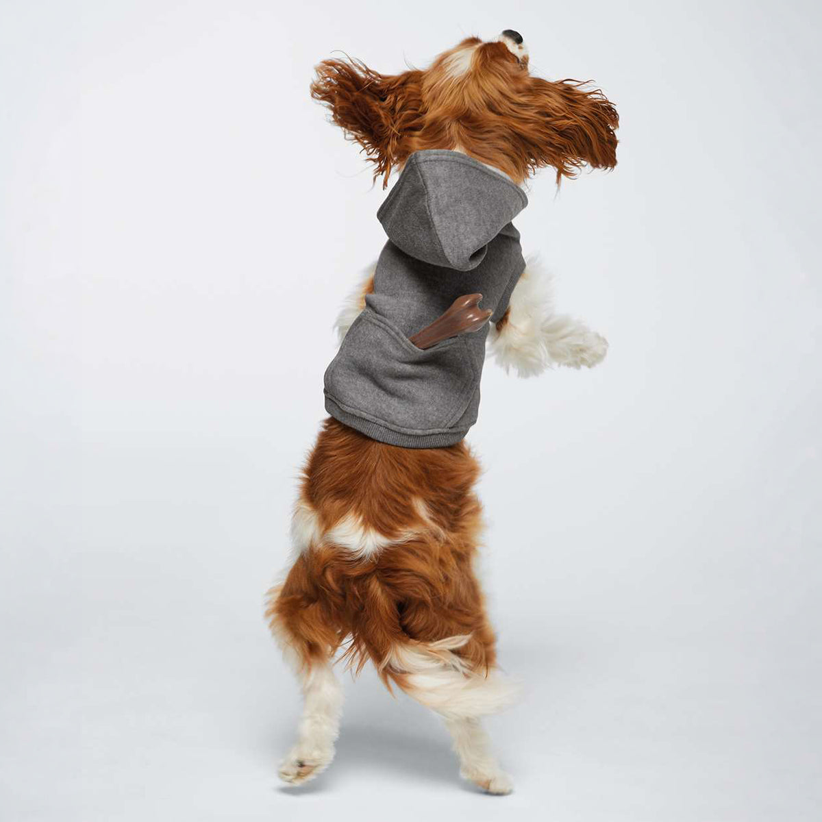 Custom Printed Doggie Fleece Hoodie