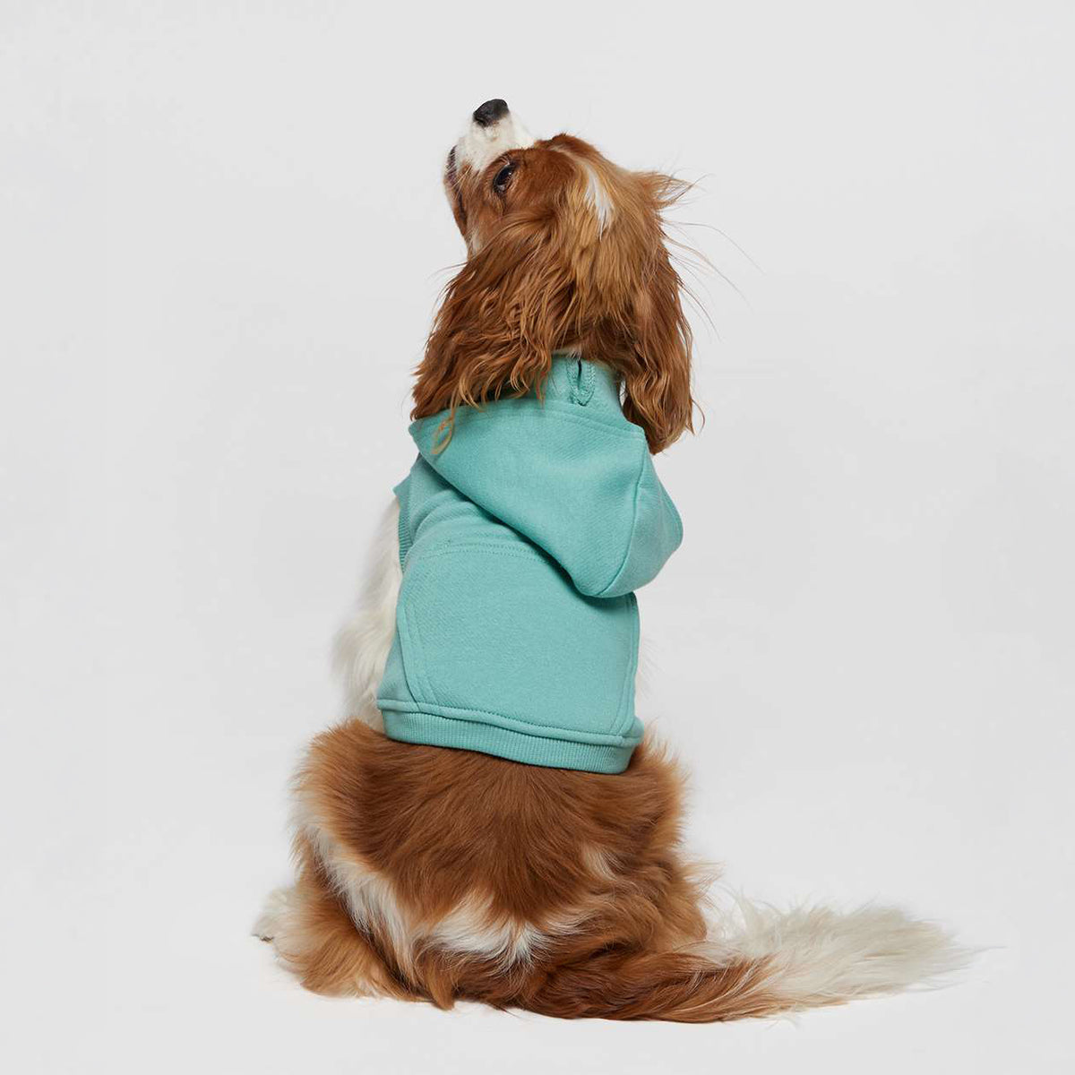 Custom Printed Doggie Fleece Hoodie