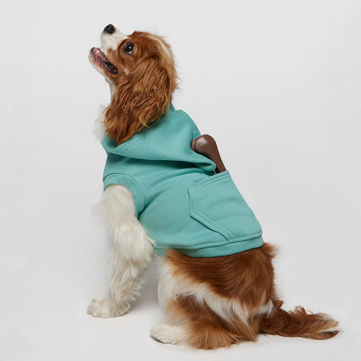 Custom Printed Doggie Fleece Hoodie