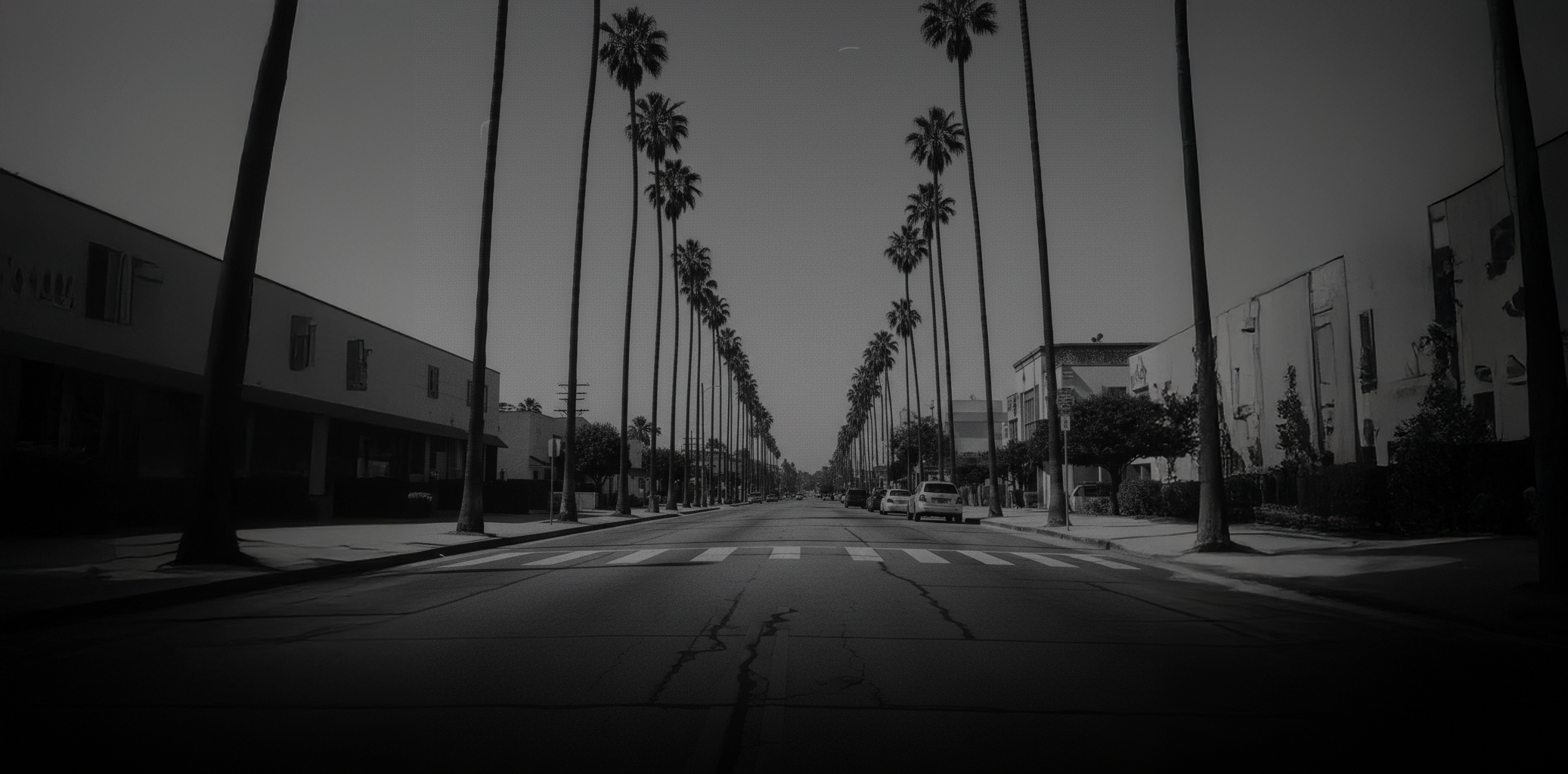 collection-banner-image